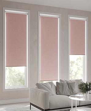 Рулонная штора «Ранфрик - 197 - ширина 47 см»