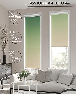 Рулонная штора «Лимкис - 168 - ширина 52 см» | фото 2