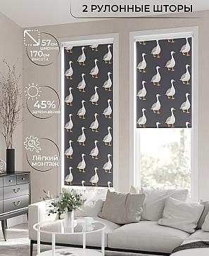 Рулонная штора «Ронлирт - 56 - ширина 57 см» | фото 2