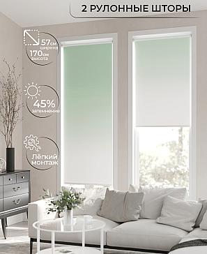 Рулонная штора «Ронлирт - 164 - ширина 57 см» | фото 2