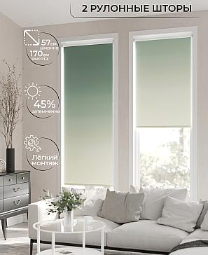 Рулонная штора «Ронлирт - 176 - ширина 57 см» | фото 2