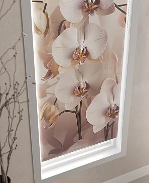 Рулонная штора «Клартис - 141 - ширина 62 см»