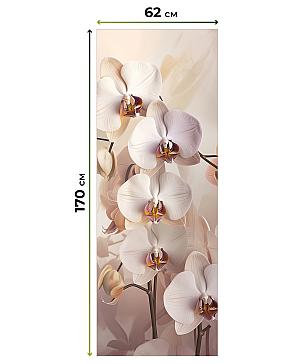 Рулонная штора «Клартис - 141 - ширина 62 см»