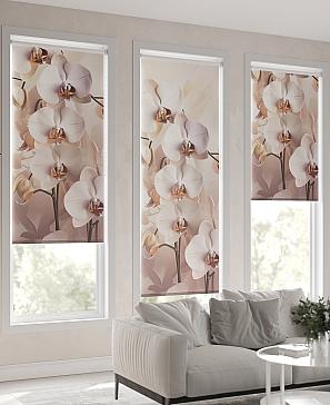 Рулонная штора «Клартис - 141 - ширина 62 см»