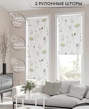 Рулонная штора «Лирикас - 05 - ширина 68 см» | фото 2