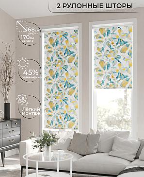 Рулонная штора «Лирикас - 11 - ширина 68 см» | фото 2