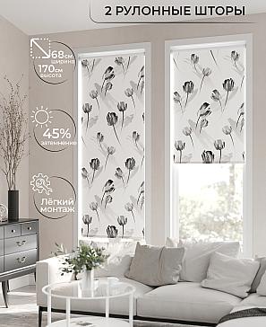 Рулонная штора «Лирикас - 12 - ширина 68 см» | фото 2