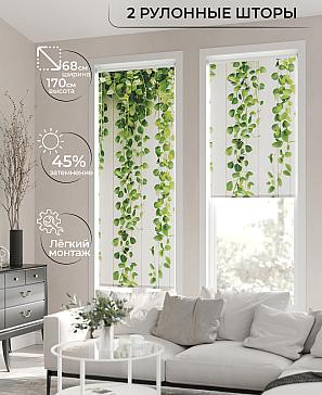 Рулонная штора «Лирикас - 19 - ширина 68 см» | фото 2