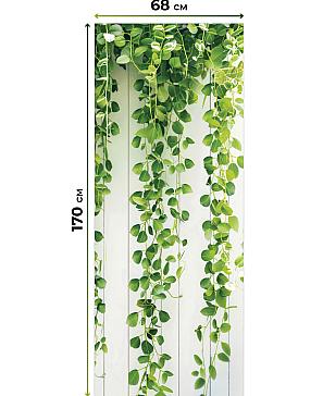 Рулонная штора «Лирикас - 19 - ширина 68 см»