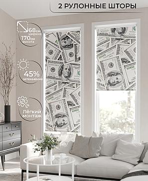 Рулонная штора «Лирикас - 97 - ширина 68 см» | фото 2