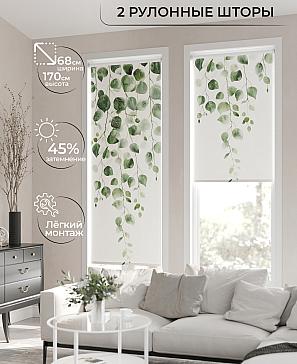 Рулонная штора «Лирикас - 105 - ширина 68 см» | фото 2