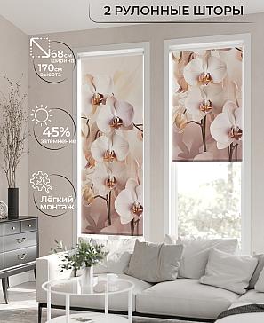 Рулонная штора «Лирикас - 141 - ширина 68 см» | фото 2