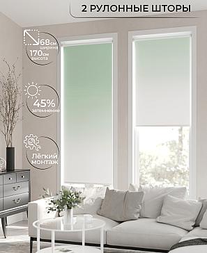 Рулонная штора «Лирикас - 164 - ширина 68 см» | фото 2