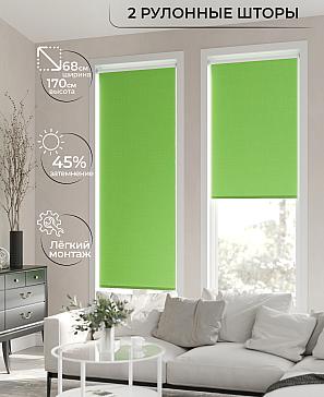 Рулонная штора «Лирикас - 184 - ширина 68 см» | фото 2