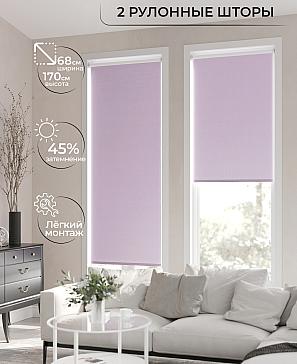 Рулонная штора «Лирикас - 192 - ширина 68 см» | фото 2
