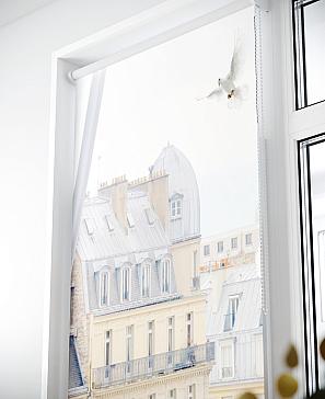 Рулонная штора «Лиритиск - 59 - ширина 68 см» | фото 3