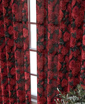 Комплект штор «Колтери - 540 - 260 см» | фото 3