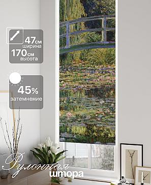 Рулонная штора «Ранфрик - 723 - ширина 47 см» | фото