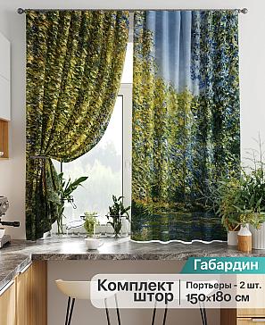 Комплект штор «Лиртикс - 794» | фото