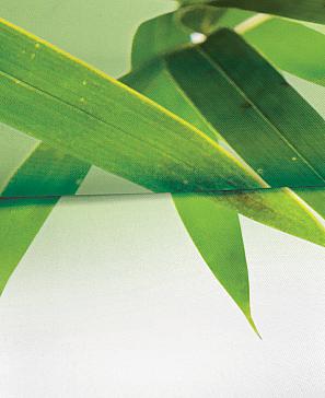 Комплект штор «Балио» | фото 3