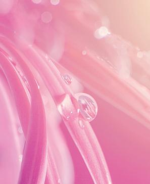 Комплект штор «Дилоринс» | фото 3