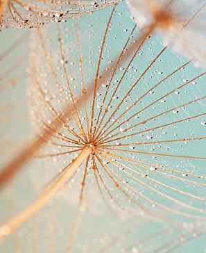 Комплект штор «Огинс» | фото 3