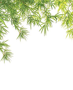 Комплект штор «Олифир» | фото 3