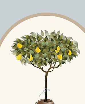 Комплект штор «Пилакси» | фото 3