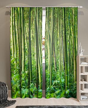 Бамбуковые джунгли