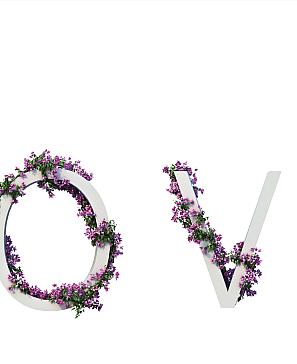 Тюль портьеры «Эрагария» | фото 2