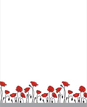 Тюль «Маклирси»