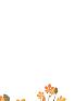 Комплект штор «Лирфорис (бело-оранжевый)» | фото 6